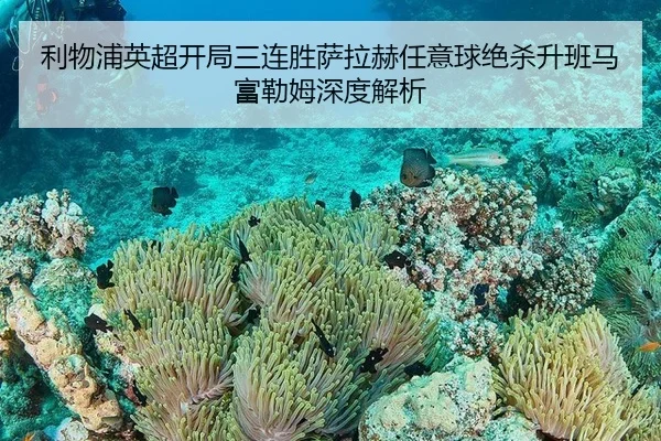 li-wu-pu-ying-chao-kai-ju-san-lian-sheng-sa-la-he-ren-yi-qiu-jue-sha-sheng-ban-ma-fu-lei-mu-shen-du-jie-xi-2-430.jpg
